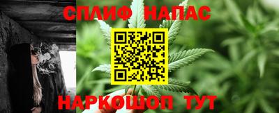 прущие грибы Тула