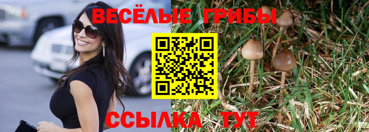 Волжский  Псилоцибиновые грибы Psilocybe  Псилоцибиновые грибы мухоморы  Вход с VPN 